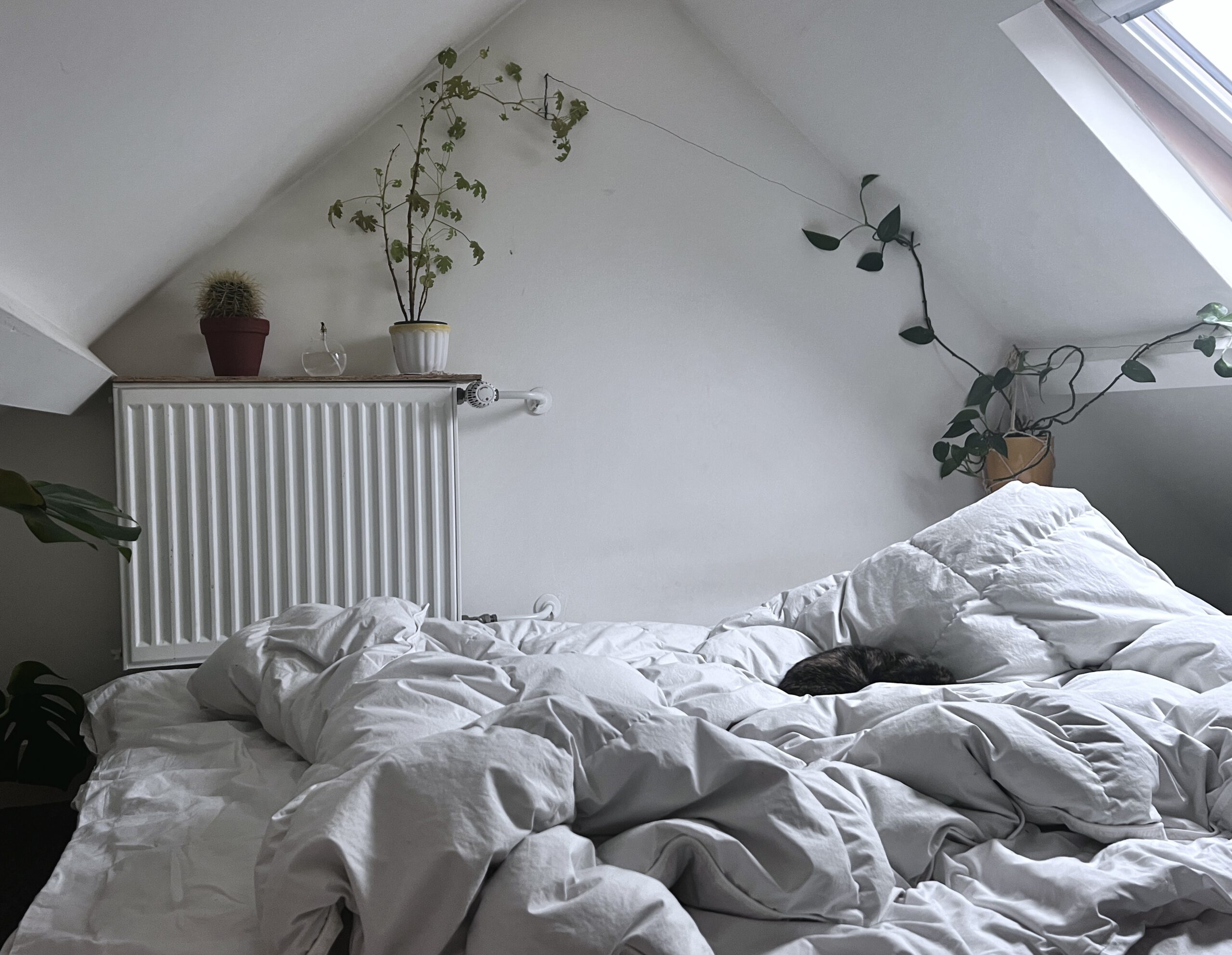 Why do we have to sleep?