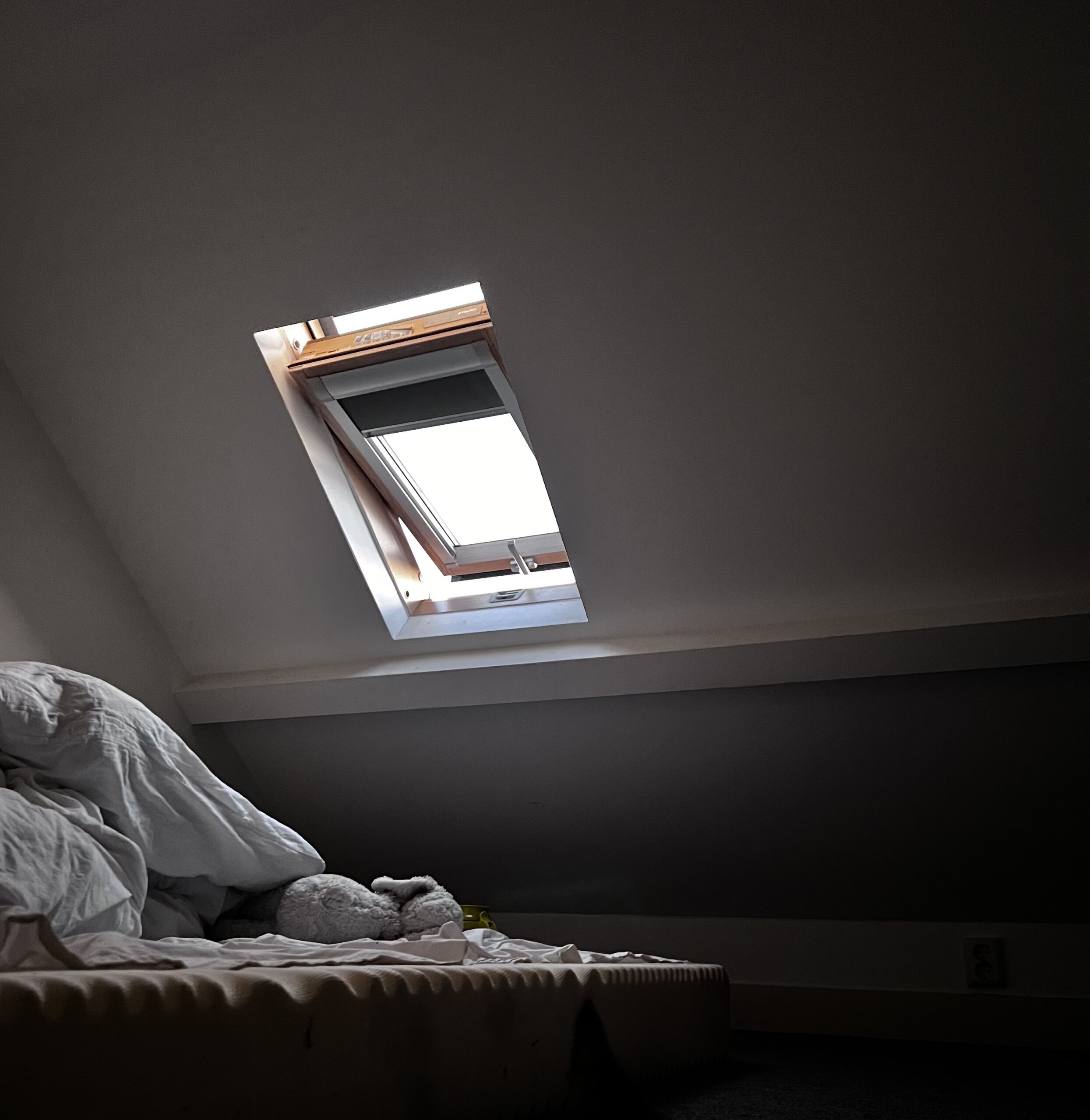 Why do we have to sleep?